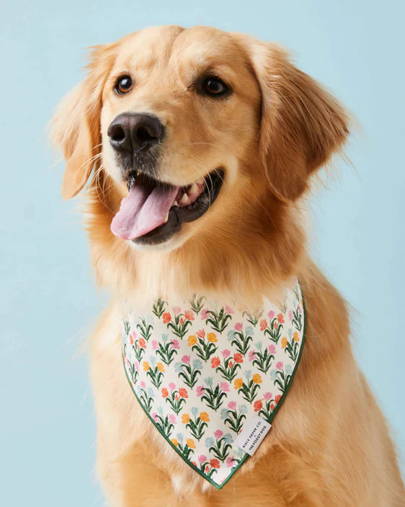 Bandana - Tulips Spring