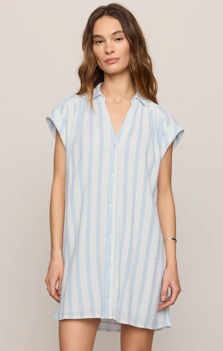 Shellbound Striped Dress