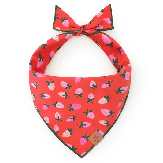 Bandana - Berry Sweet Valentine