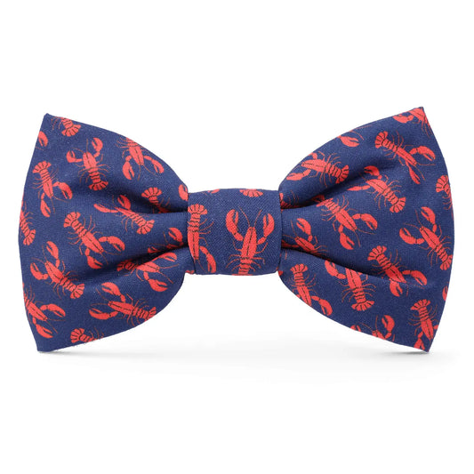 Bow - Catch Of The Day
